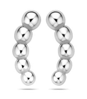 Victoria Silver-colored earrings