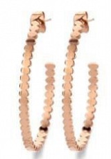 Victoria Rose Gold Earrings