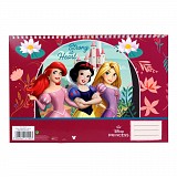 Disney Princess Strong A/4 spiral sketchbook, 30 sheets