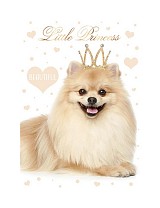 Dog Little Princess A4 elastic folder