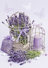 Colour Cage Lavender A/4 elastic folder
