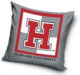 Harvard  pillowcase 40*40 cm