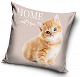Cat Home cushion cover 40x40 cm Velour