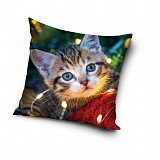 Cat Cozy Lights decorative pillow cover 40x40 cm Velvet