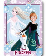 Disney Frozen Holiday Christmas Polar Fleece Blanket 100x140cm