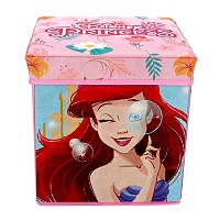 Disney Princess toy storage 30×30×30 cm