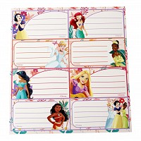 Disney Princess Spring notebook label pack of 16
