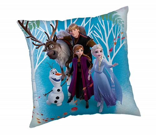 Disney Frozen Family velvet cushion cover 40x40 cm