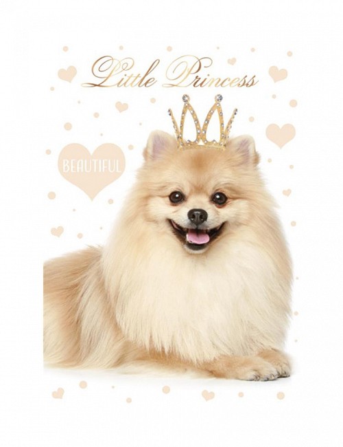 Dog Little Princess A4 elastic folder