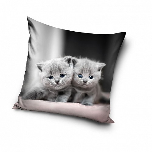 Cat Twins decorative pillow cover 40x40 cm Velvet