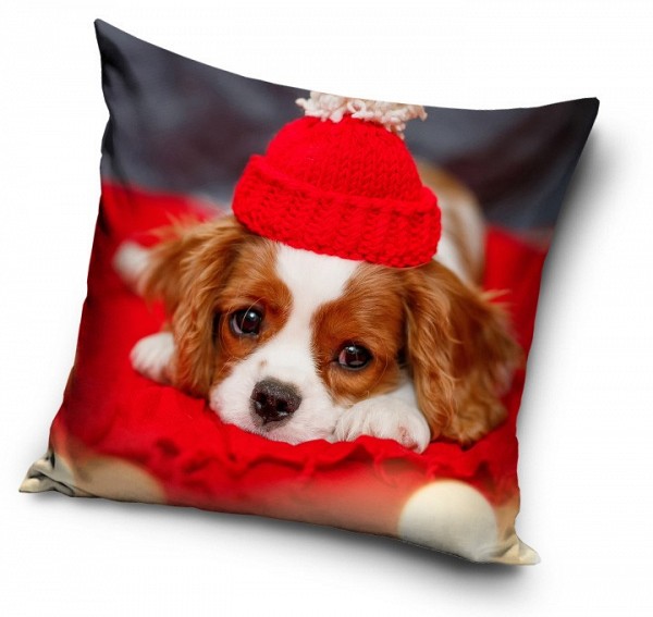 Dog pillow cover 40*40 cm