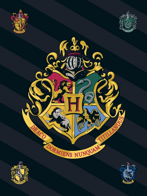 Harry Potter fleece blanket 100*140cm