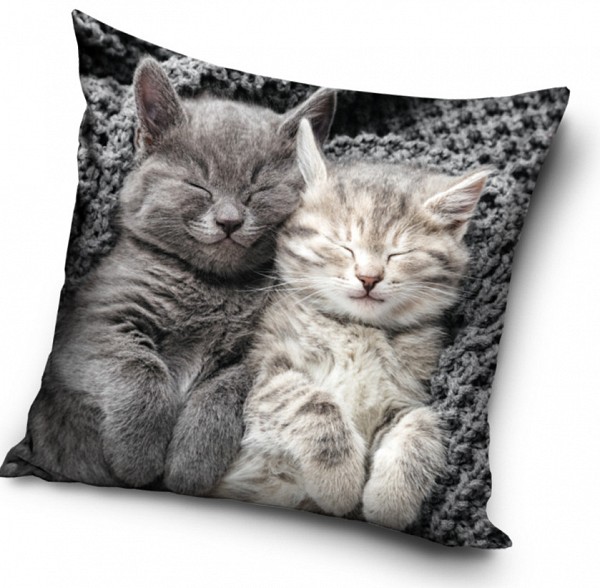 Cat Sleeping Velvet decorative pillow case 40x40 cm