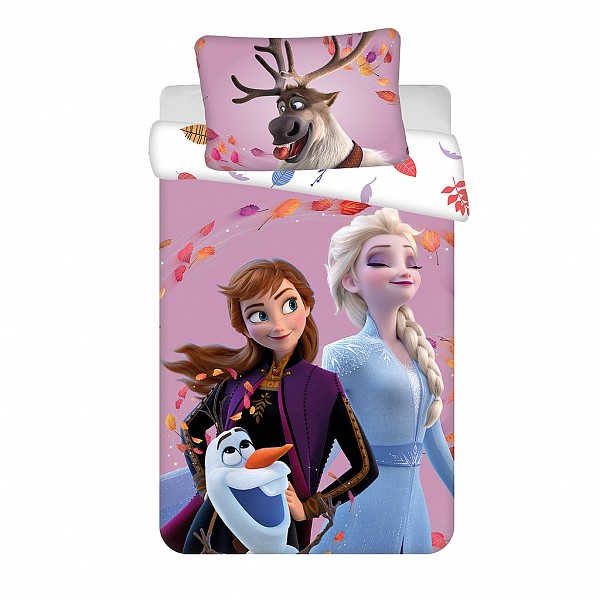 Disney Frozen Wind childrens bedding 100×135 cm, 40×60 cm