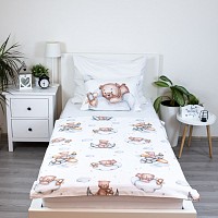 Bear Plane, Childrens Bedding Set 100×135cm, 40×60 cm