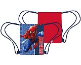 Spiderman Swing Force sports bag, gym bag 40 cm