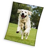 Dog Happytail Retriever coral fleece polar blanket 150x200cm