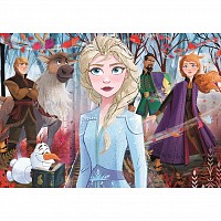 Disney Frozen Echoes 2x20 pieces puzzle Clementoni CMC24759