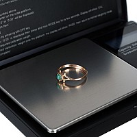 Pocket scale 500 x 0.1g with flap 23573