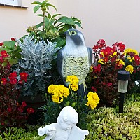 Bird scarer - falcon 23421